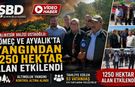 Balıkesir Valisi Ustaoğlu: Gömeç ve Ayvalık’ta yangından 1250 hektar alan etkilendi
