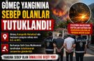 Gömeç yangınına sebep olanlar tutuklandı