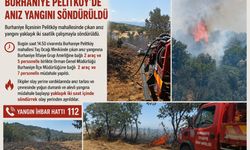 Burhaniye Pelitköy’de anız yangını söndürüldü