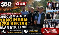 Balıkesir Valisi Ustaoğlu: Gömeç ve Ayvalık’ta yangından 1250 hektar alan etkilendi