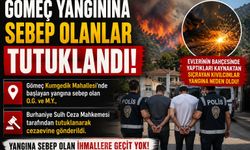 Gömeç yangınına sebep olanlar tutuklandı