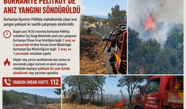 Burhaniye Pelitköy’de anız yangını söndürüldü