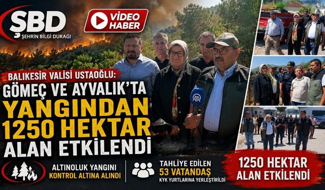 Balıkesir Valisi Ustaoğlu: Gömeç ve Ayvalık’ta yangından 1250 hektar alan etkilendi