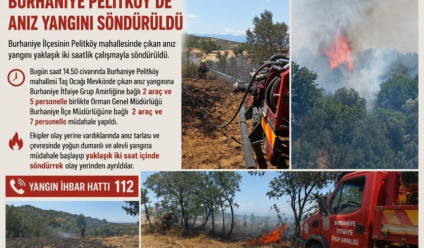 Burhaniye Pelitköy’de anız yangını söndürüldü