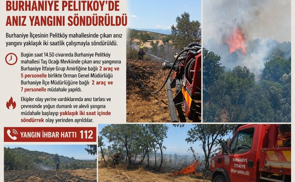 Burhaniye Pelitköy’de anız yangını söndürüldü