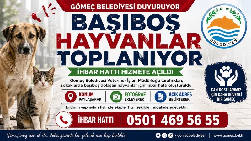 Başıboş Yeni Iç